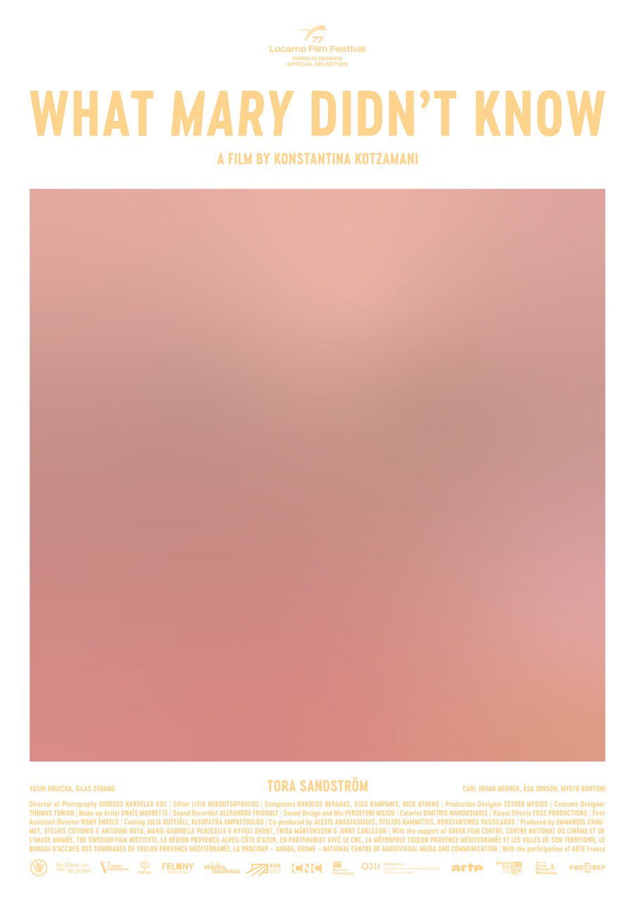 What Mary Didn't Know